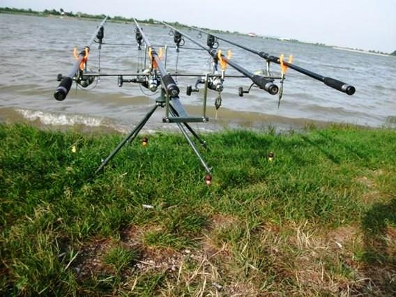 Doar ... NATURA - 4 - gedc0340.JPG